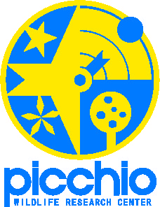 株式会社ピッキオ