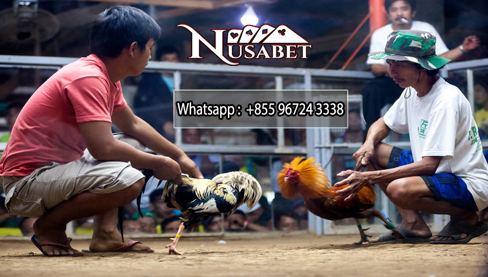 SV388, Agen SV388, Daftar SV388, Login SV388, Bandar SV388, Situs SV388, Sabung Ayam, Link Alternatif SV388, Judi Ayam Online