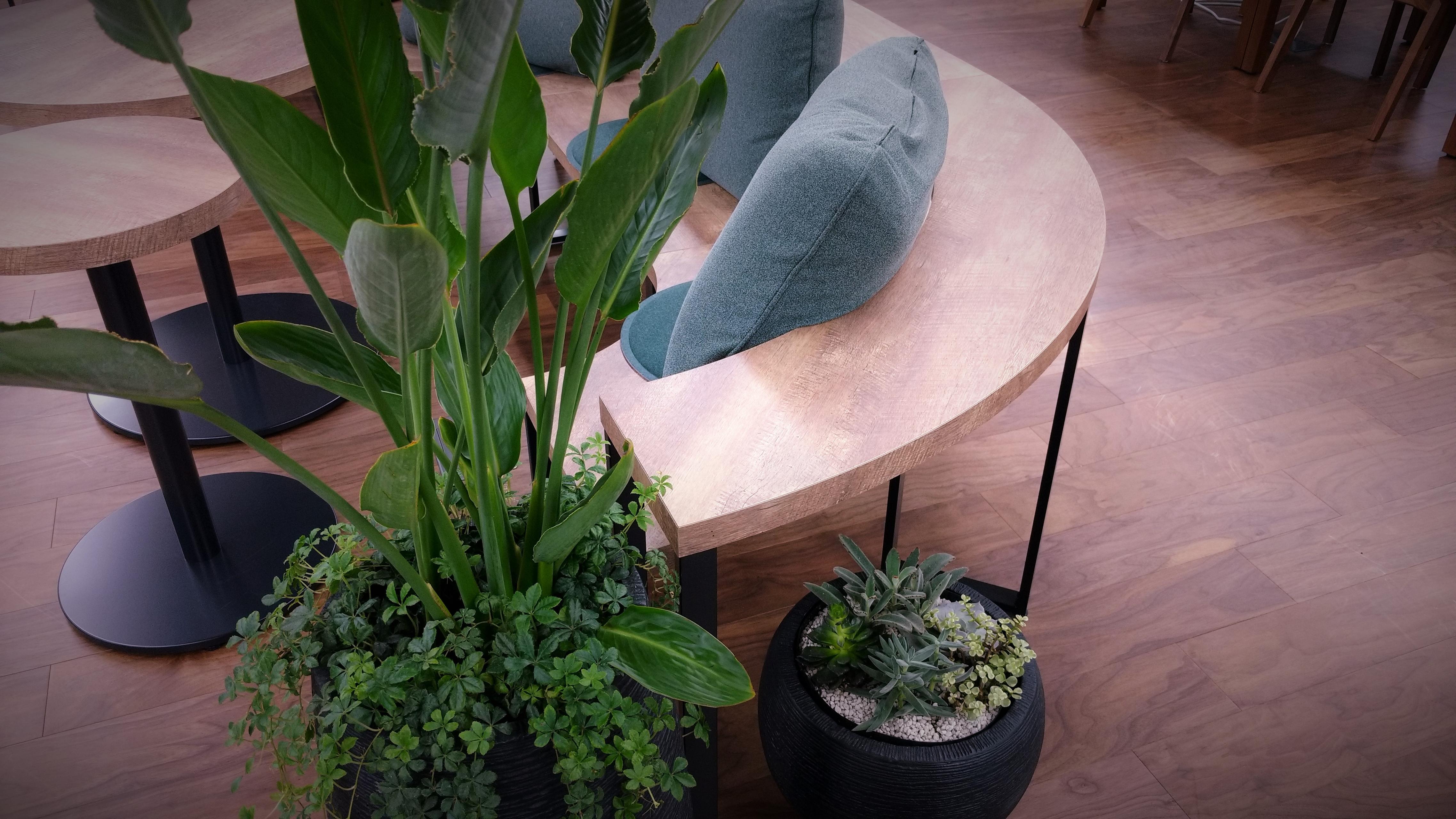 コワーキングスペース『bit＆innovation』をオープンしました！