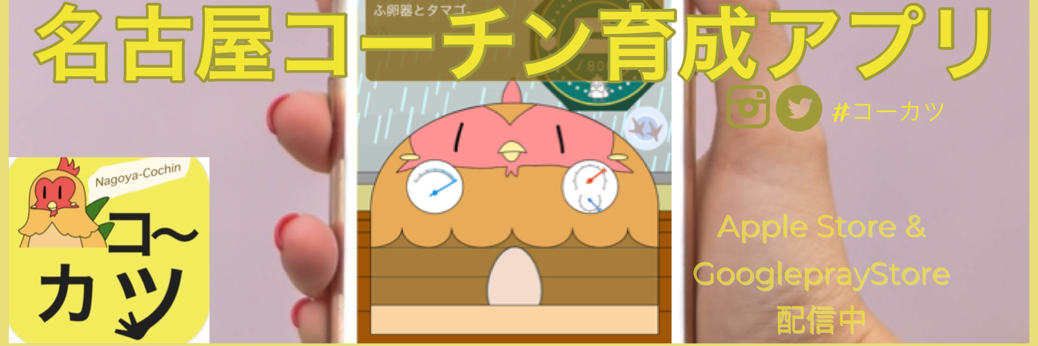 名古屋コーチン育成アプリ「コーカツ」リリース（マーケティングメンバーとしての1年半）