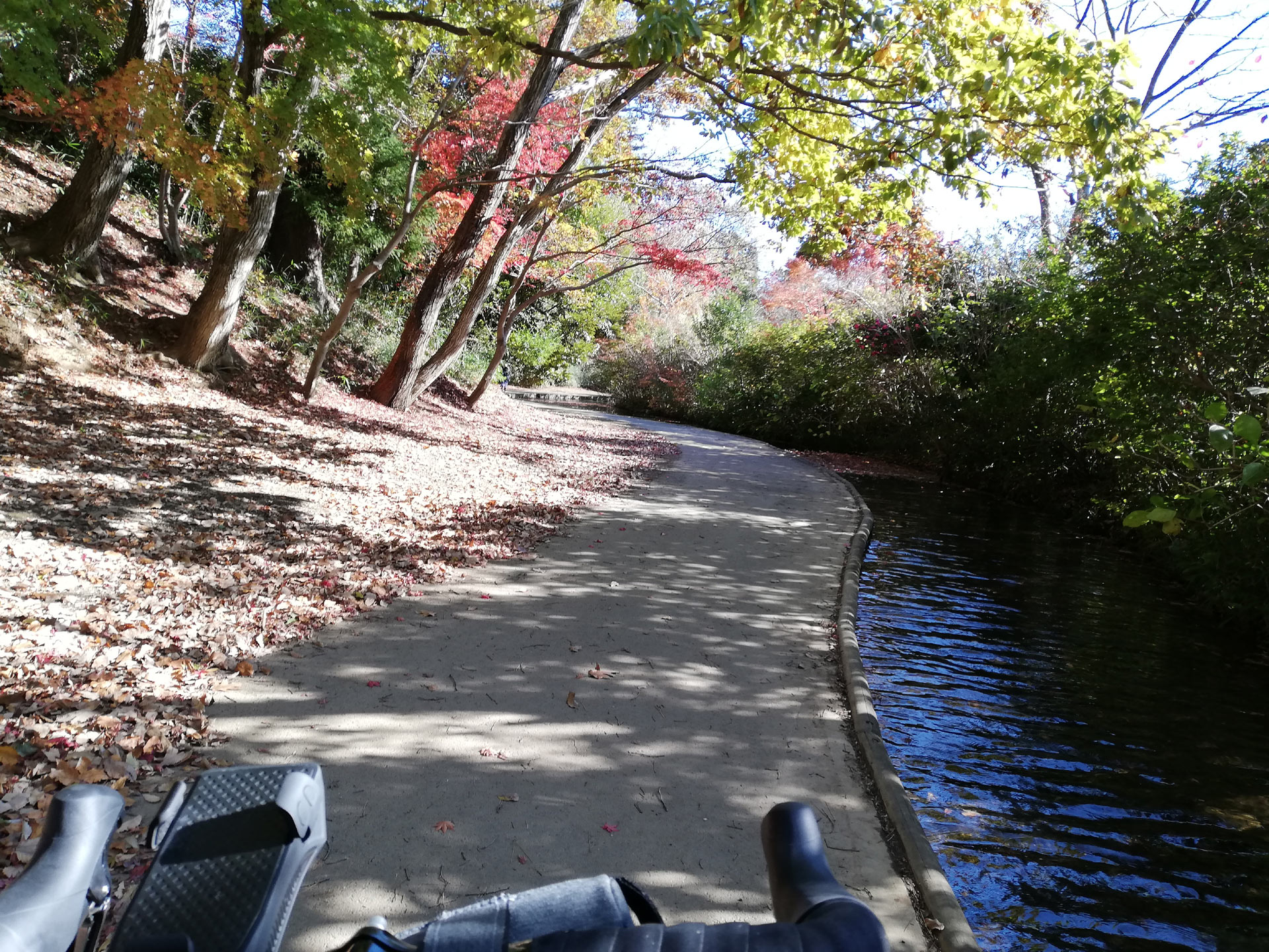 紅葉散策とロードバイク♪