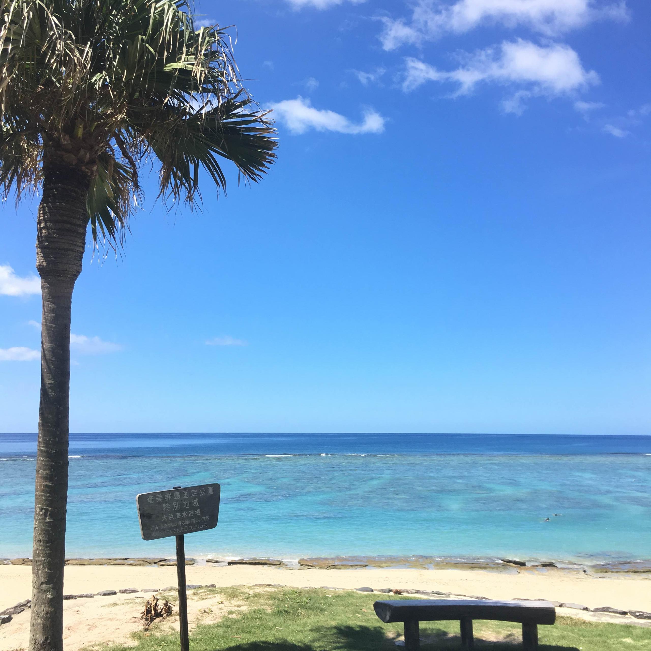 奄美大島にある予備校でのインターンシップ体験-3