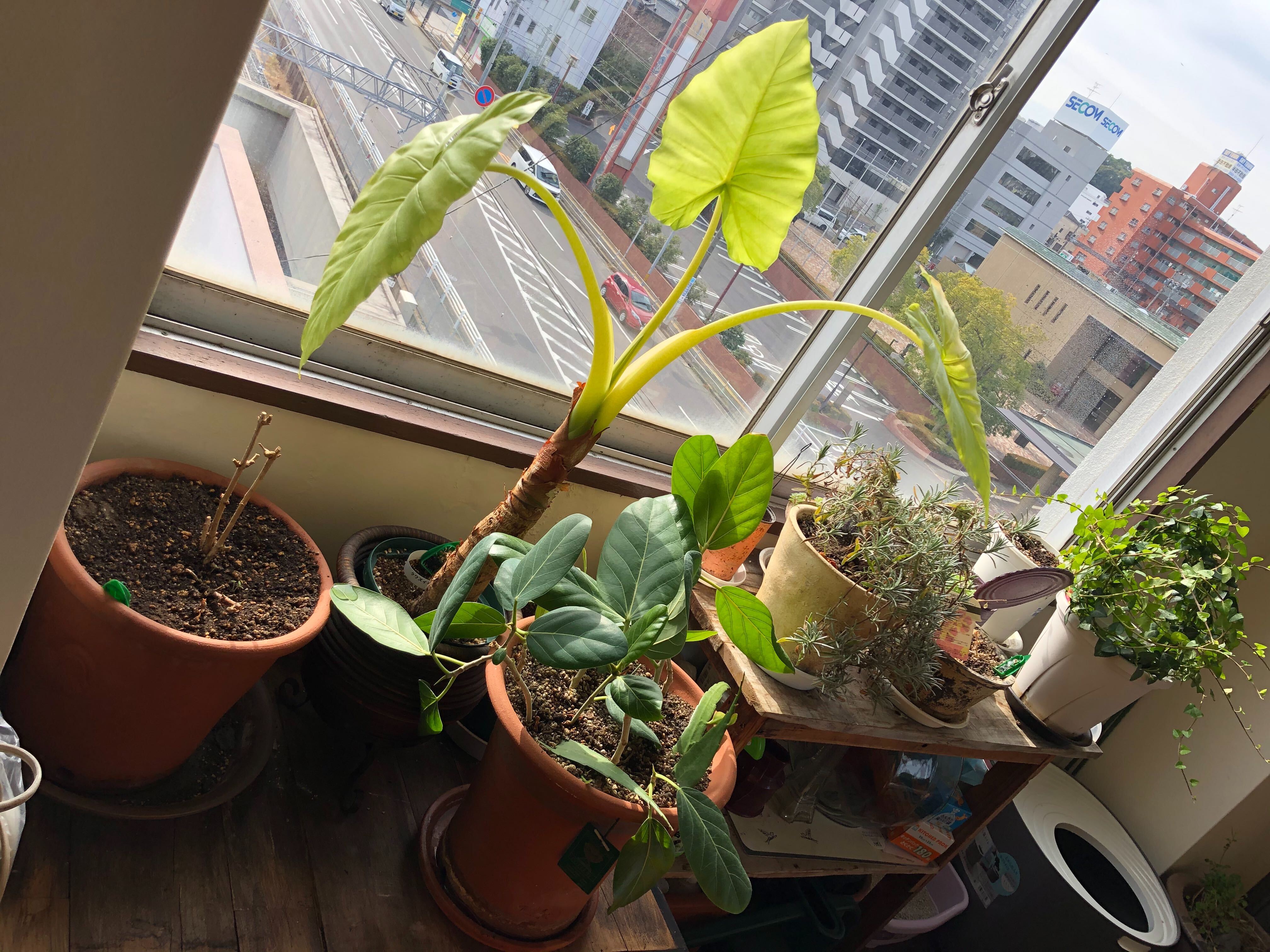 愛知県半田市のオフィス紹介します