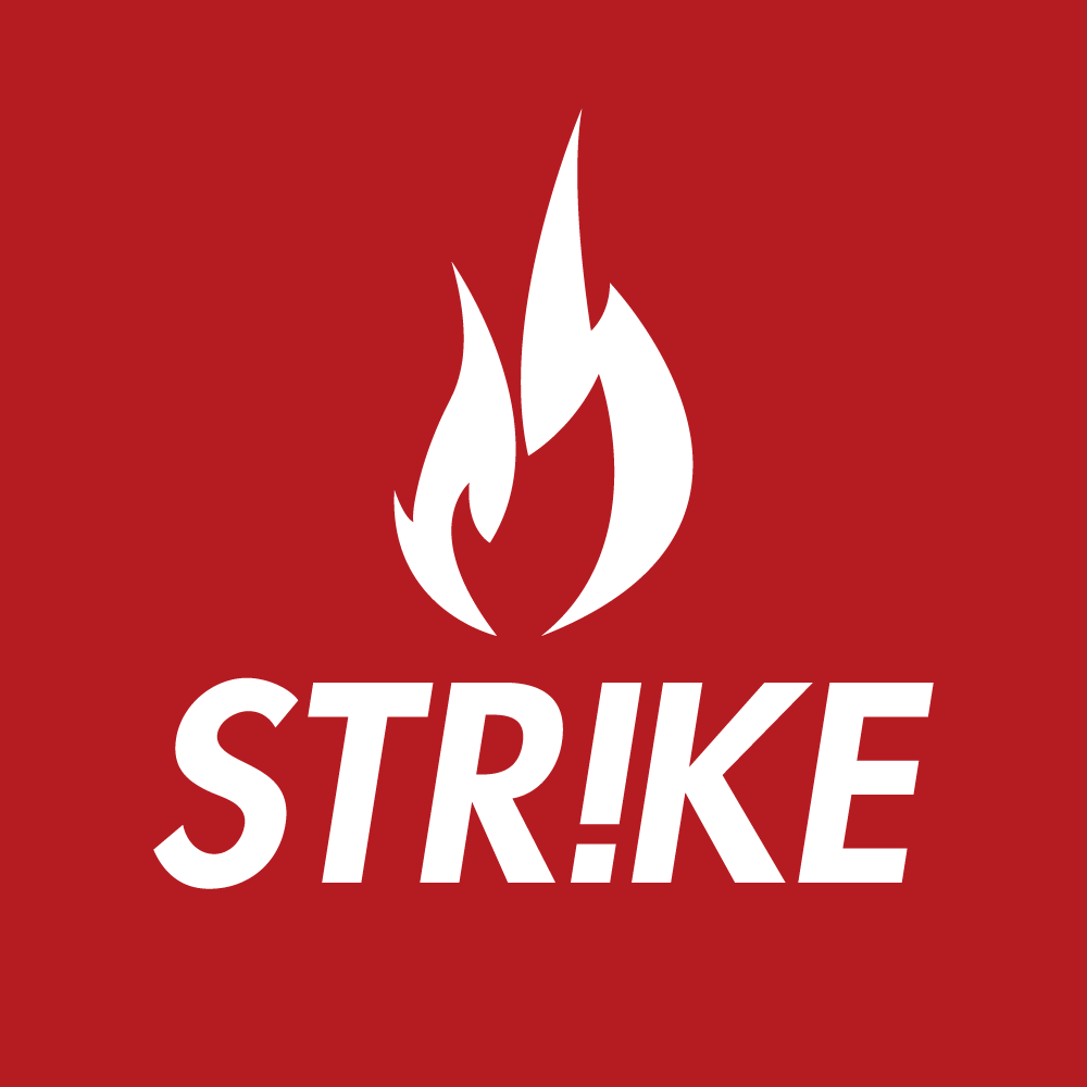 株式会社ストライクシステム