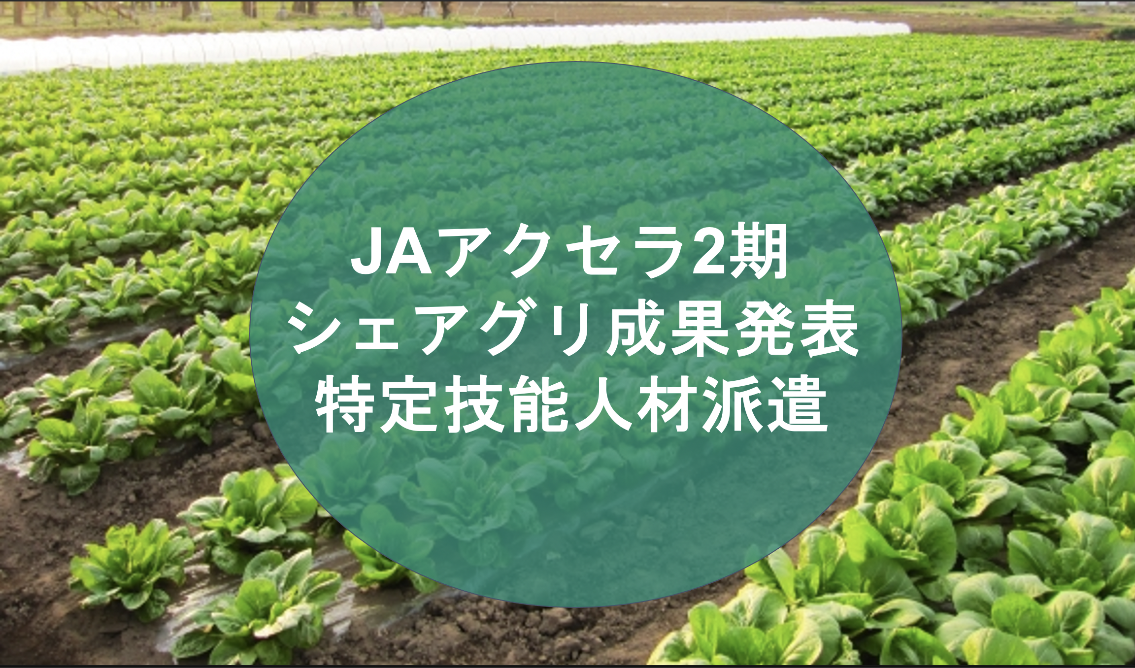 JAアクセラレータープログラムを通じて感じたシェアグリの成長と課題！！