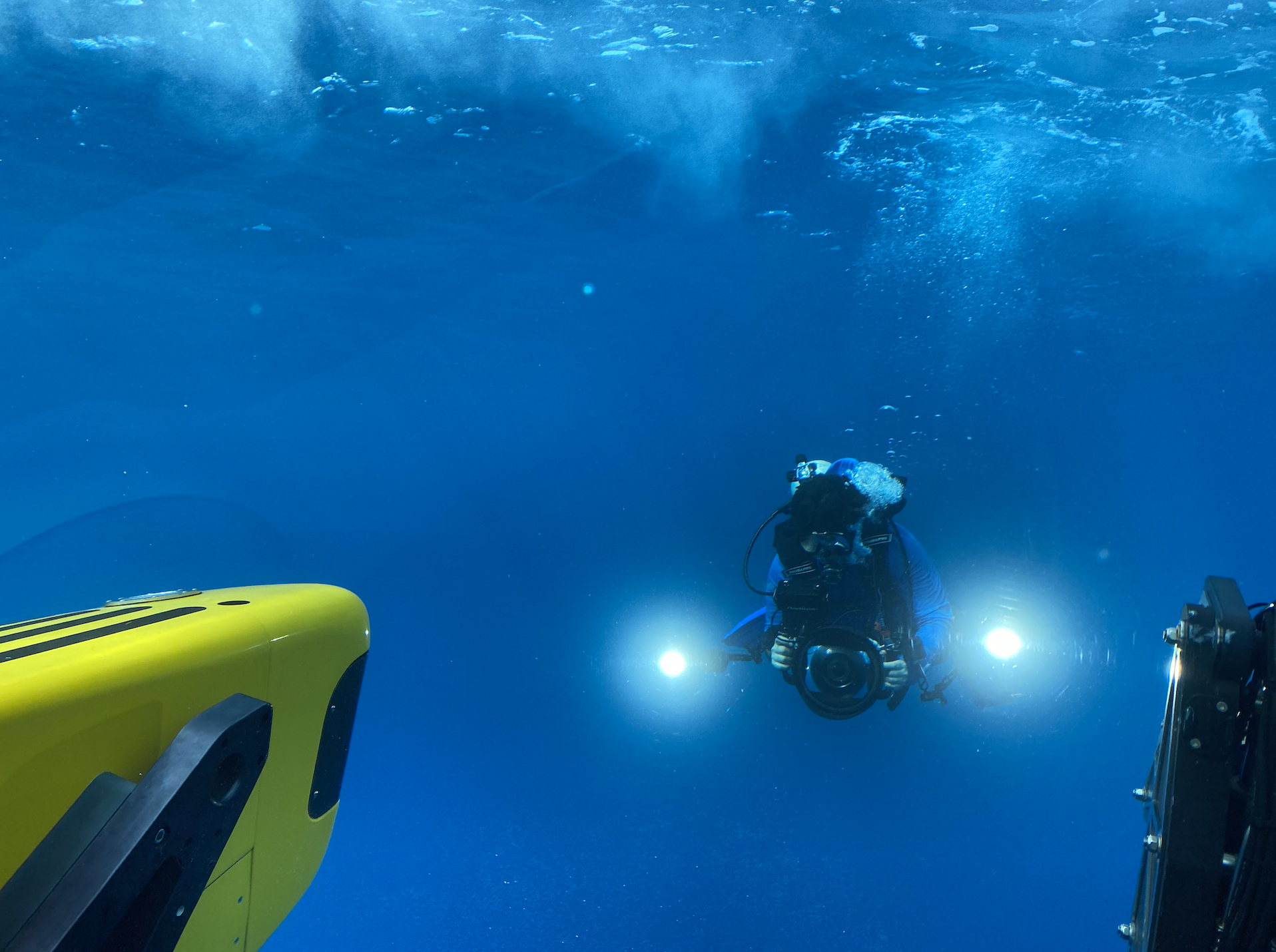 海の中の世界から未来を描く。