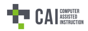 株式会社CAI