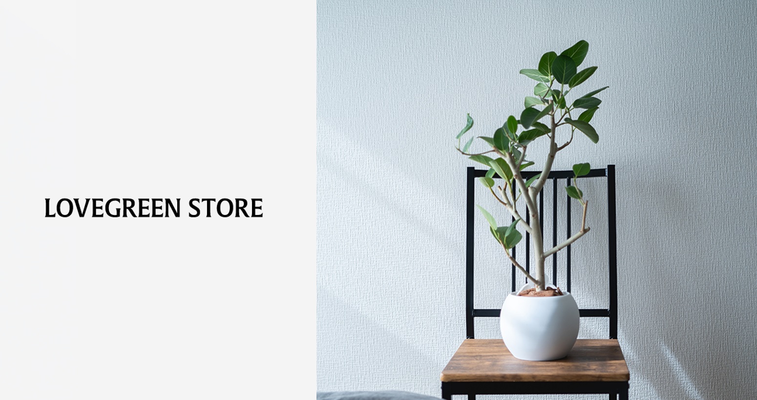 ローンチから１周年！植物×EC【LOVEGREEN STORE】のこれまでとこれから
