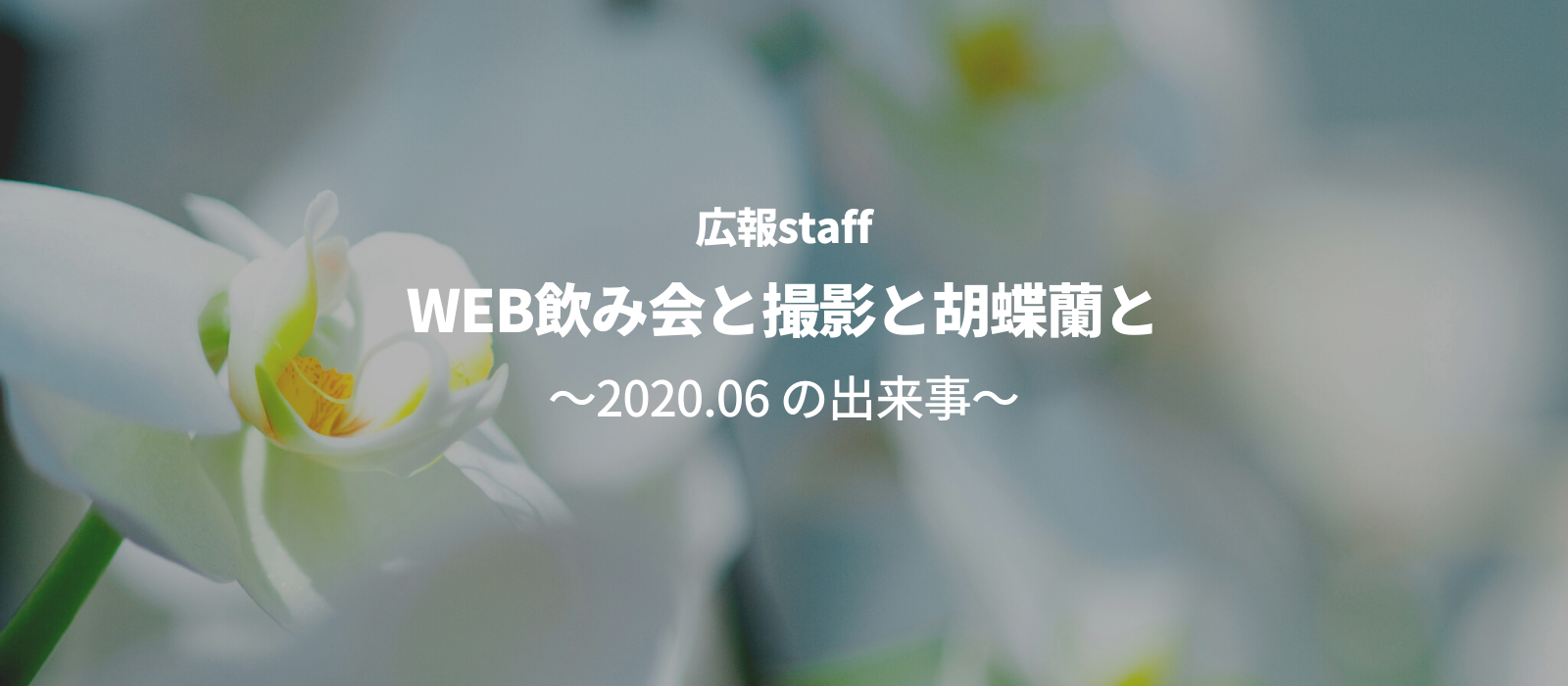 WEB飲み会と撮影と胡蝶蘭と　～6月にあった出来事～