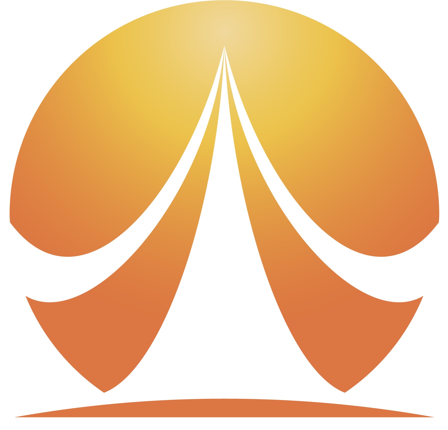 株式会社emiopulse