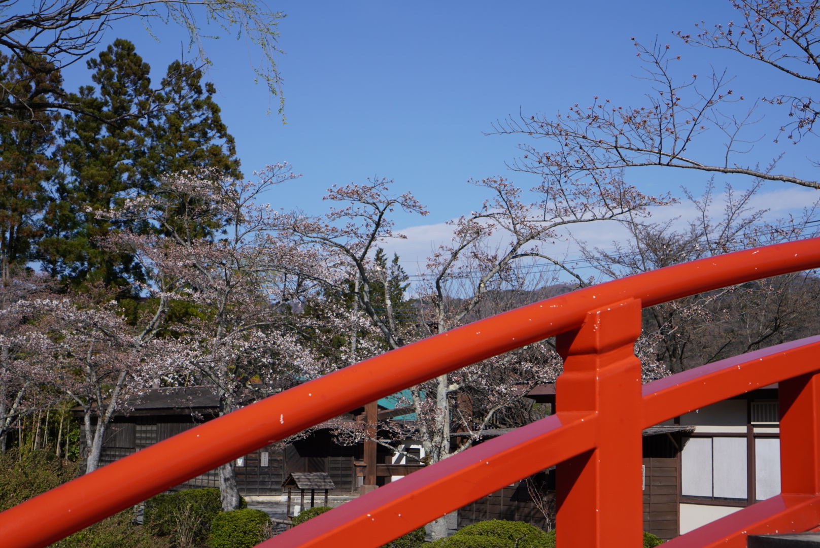 電車でぶらり日光旅_社員旅行レポ2021