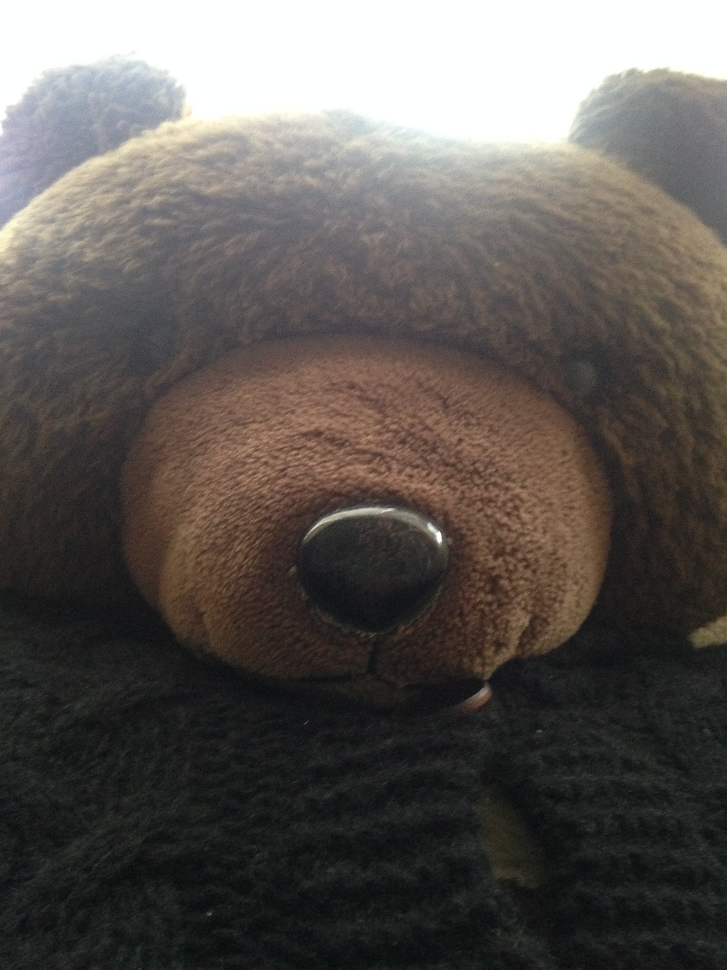 ブログ（更新していない件）