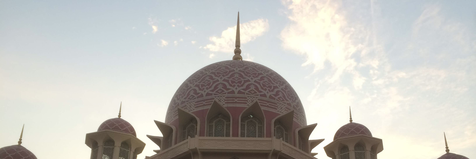 マメタビ＜マレーシア編＞