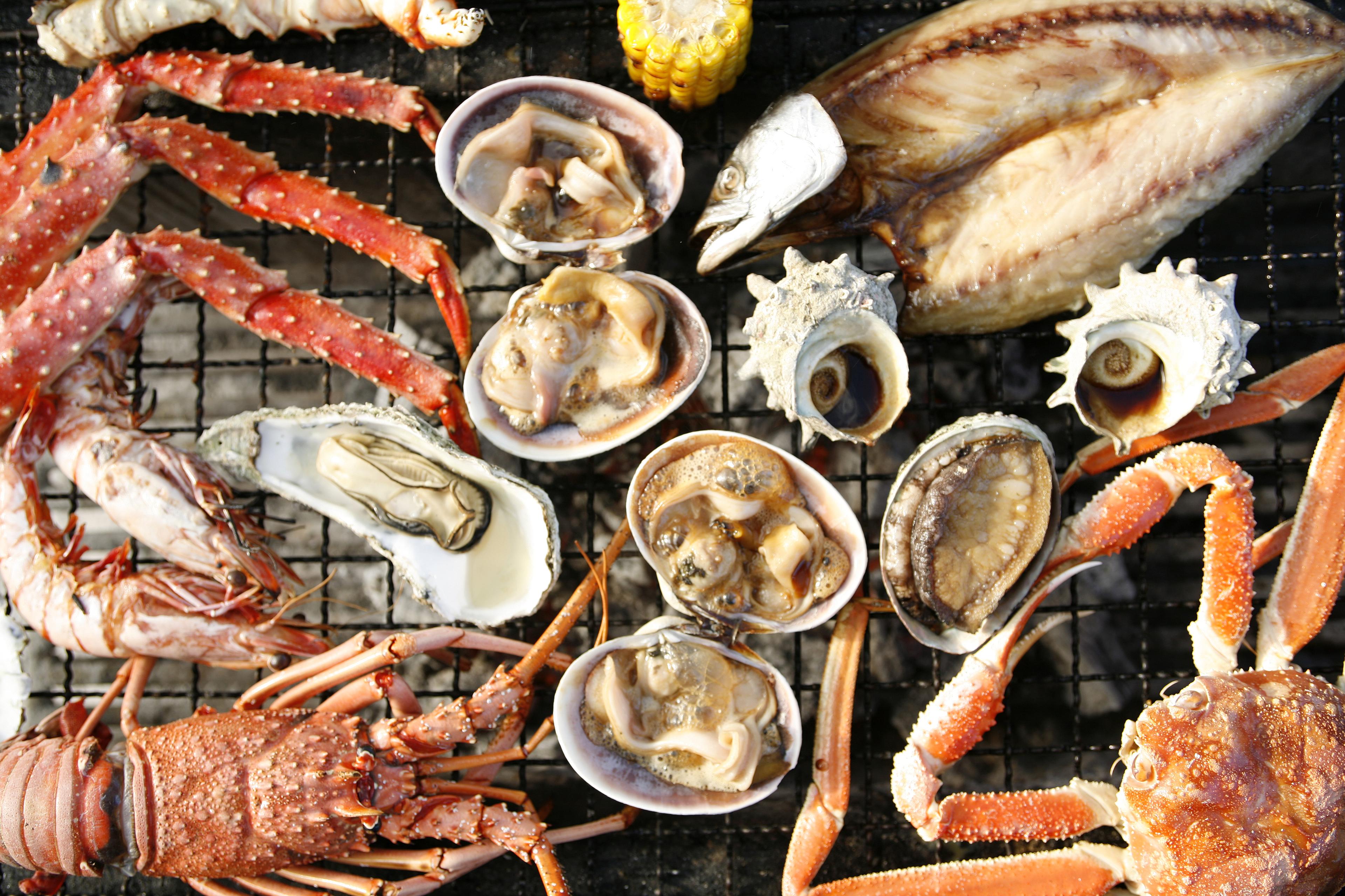 全改装に向けて、あーでもこーでも・・・