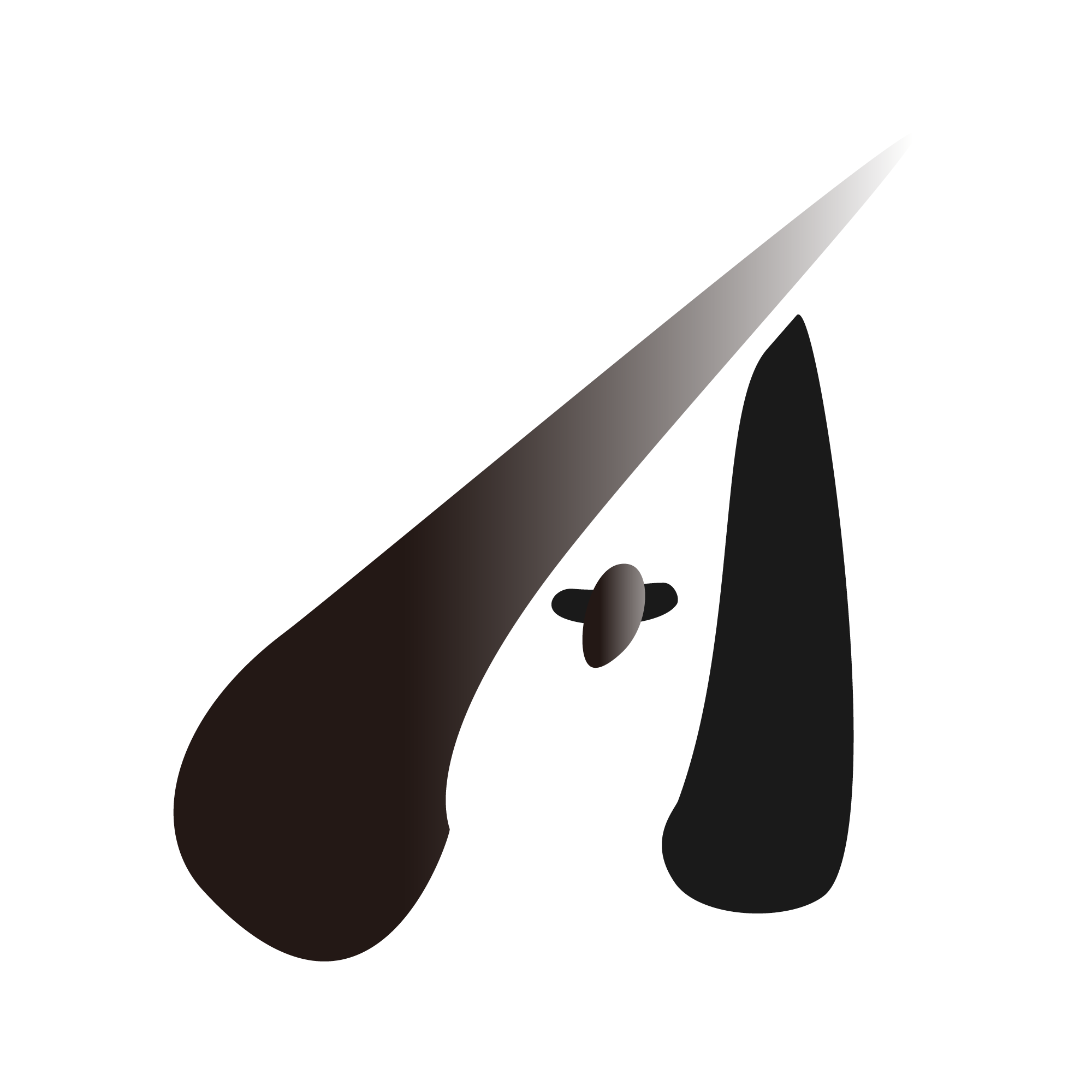 弊社インターン採用活動を始めます！