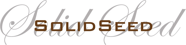 ソリッドシード株式会社