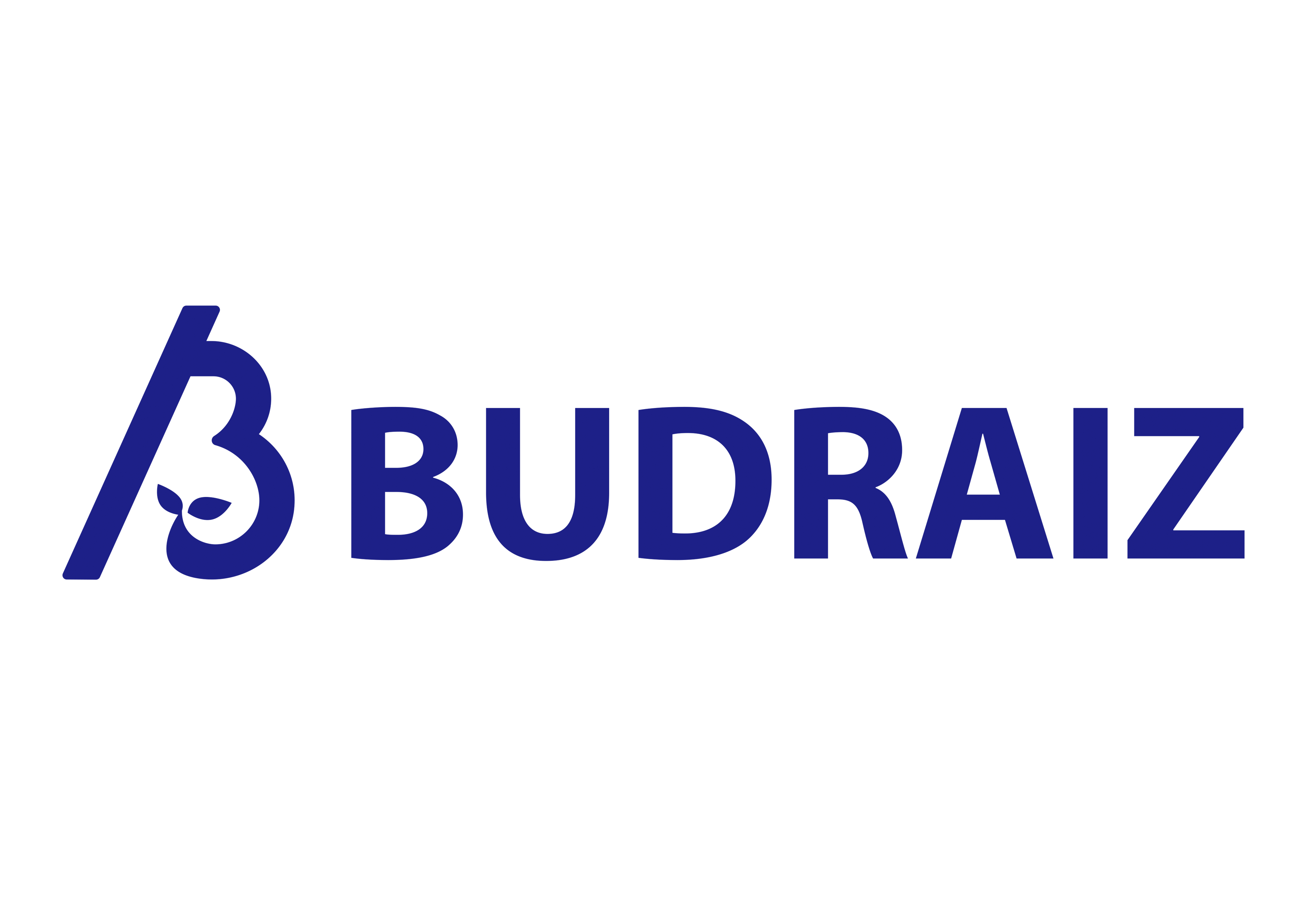 BUDRAIZ株式会社