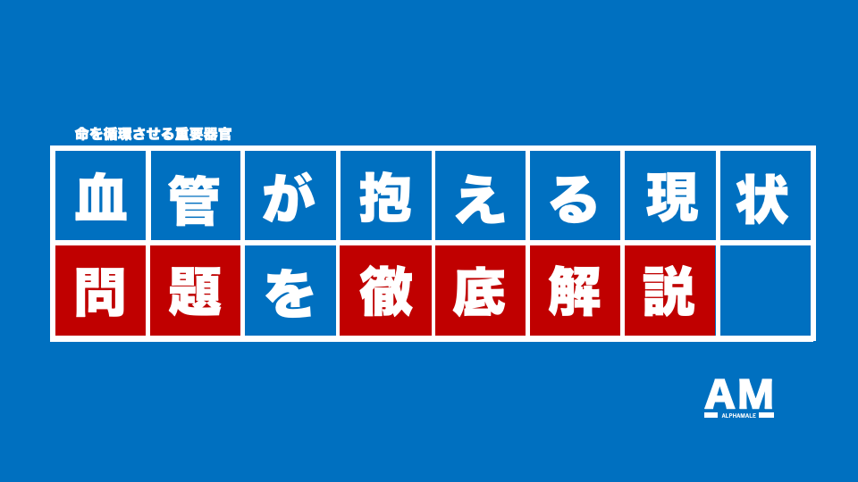 【誰も知らない社会問題】日本の国民病は『血管』の不健康が元凶