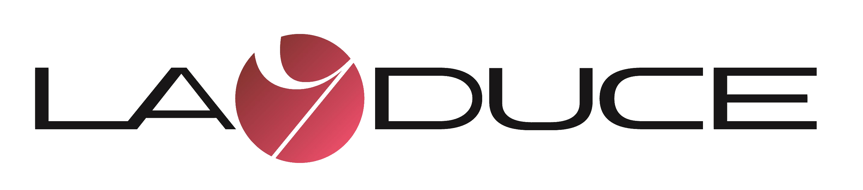 株式会社Lay-duce