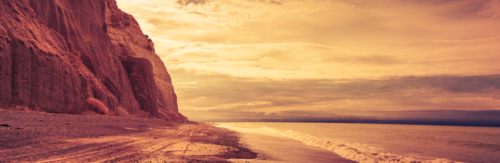 新卒と大学生インターンを採用しない理由