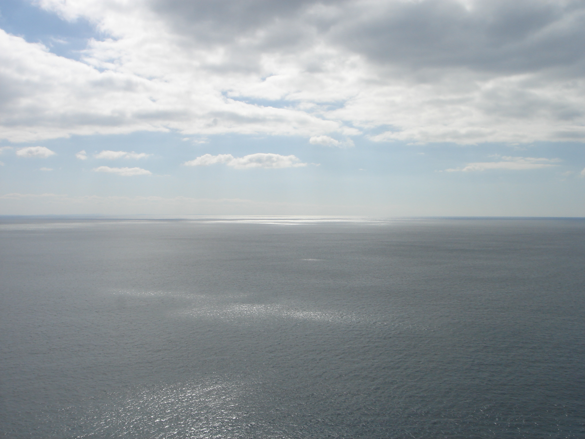 新入り自己紹介