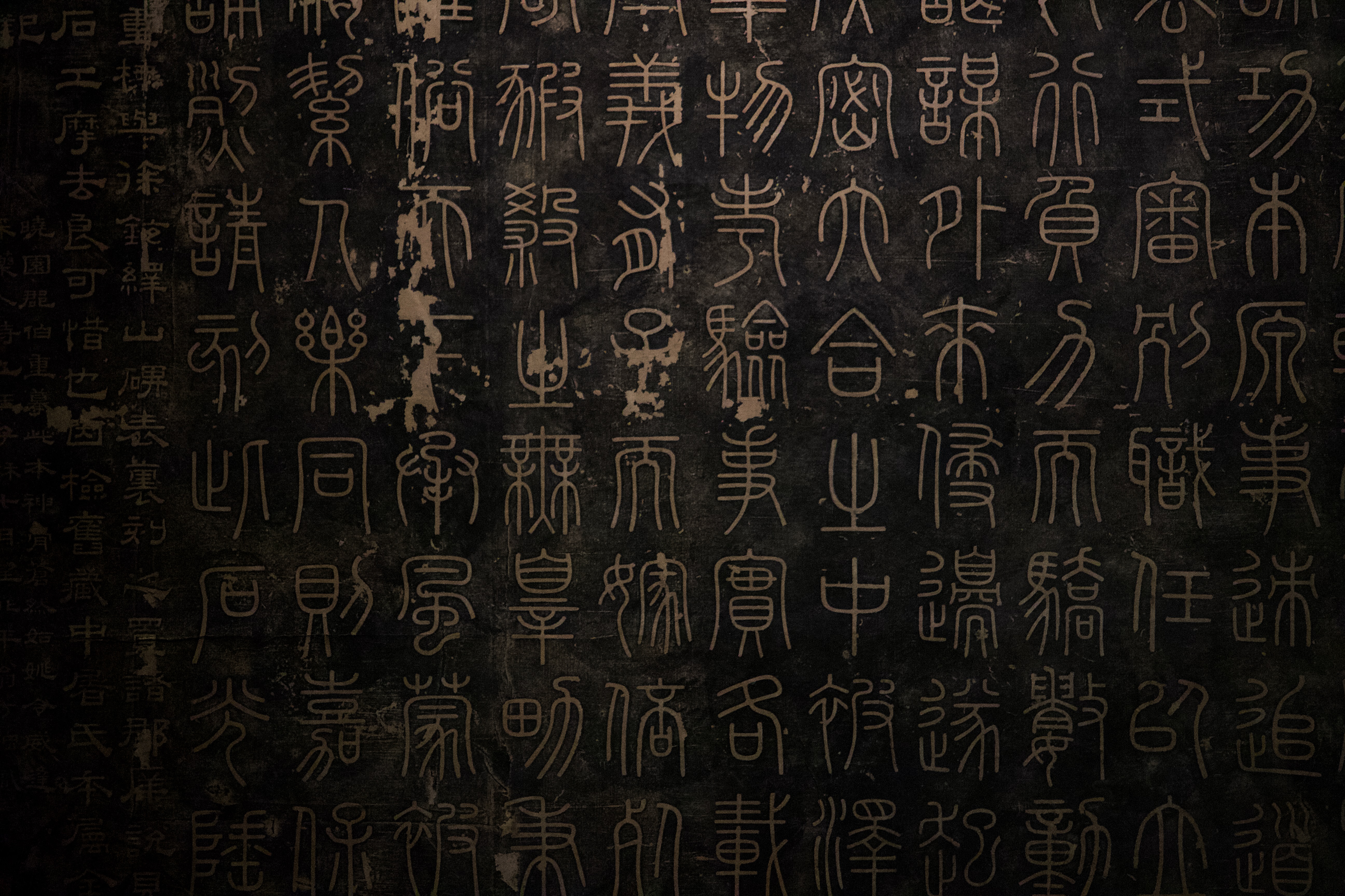 言語学系エンジニアの私がスタートアップに入社して気づいた