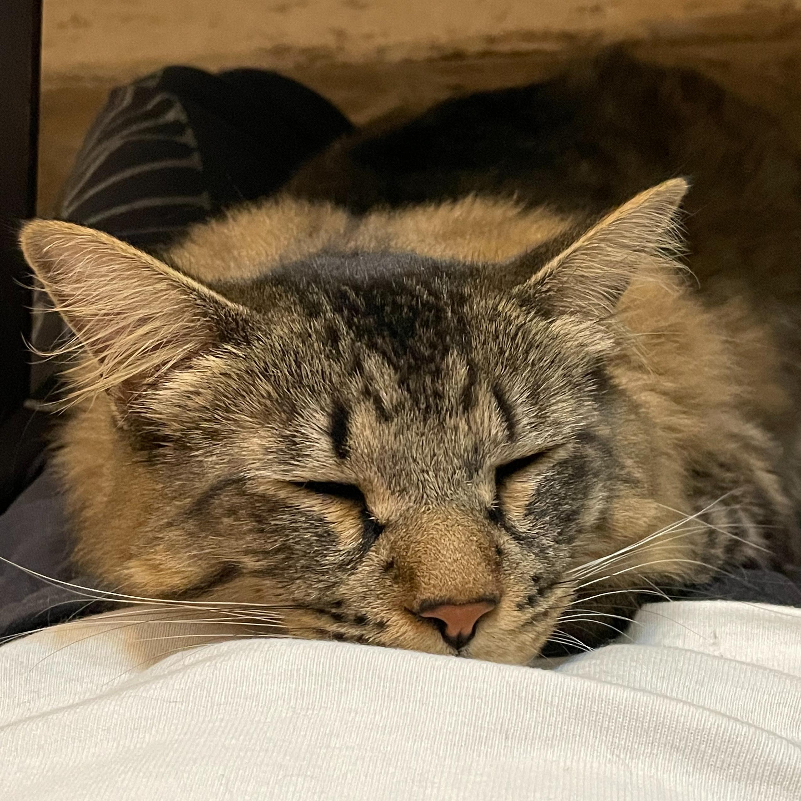 株式会社espの役員 従業員 Wantedly