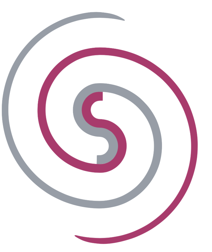 株式会社Singular Perturbations