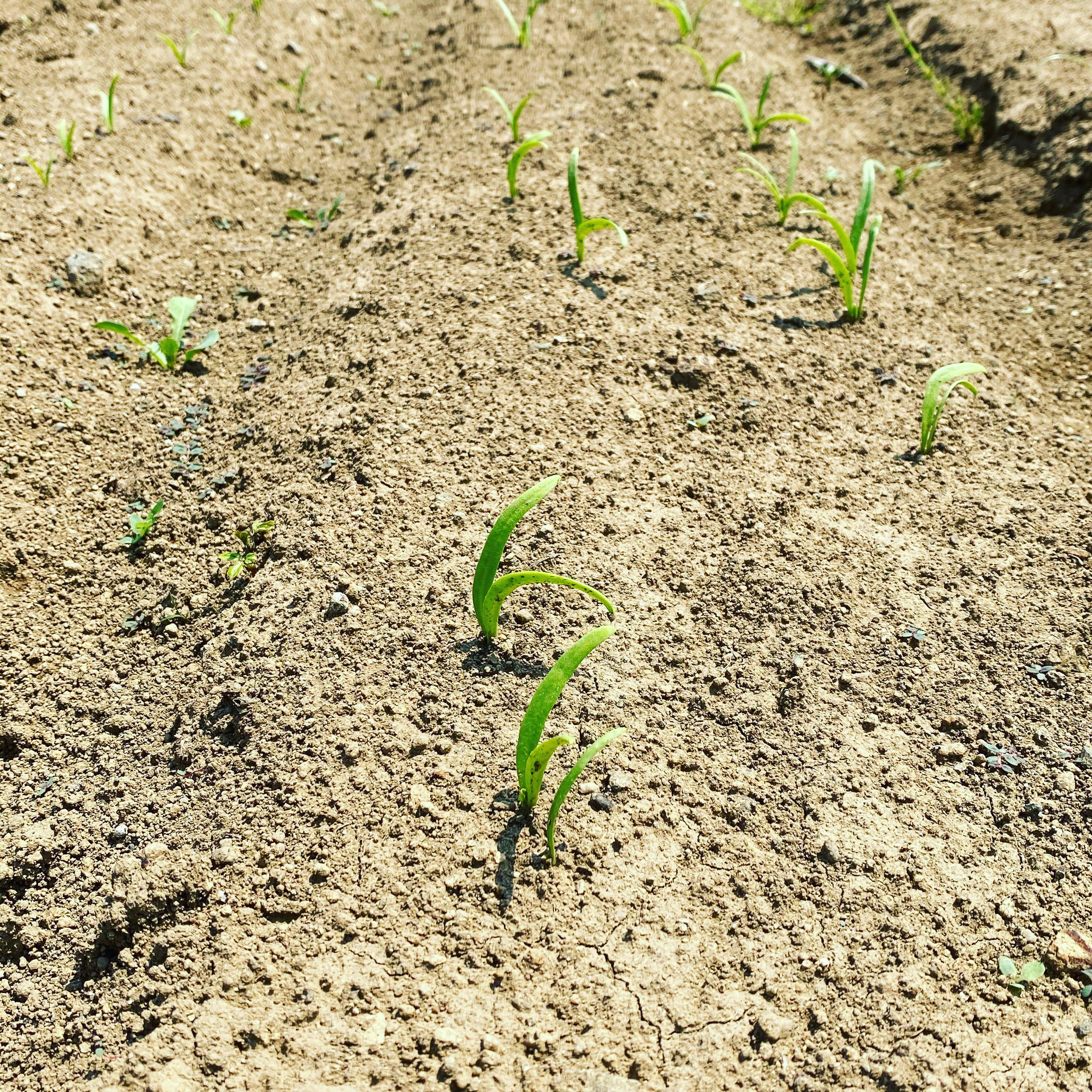 【REPOCの理念】新しい時代を作る概念実証を行っていく。