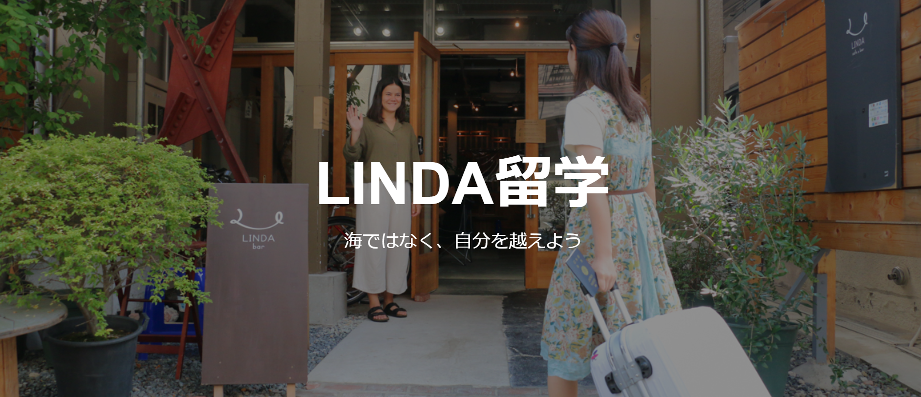 国内留学プログラム企画、運営