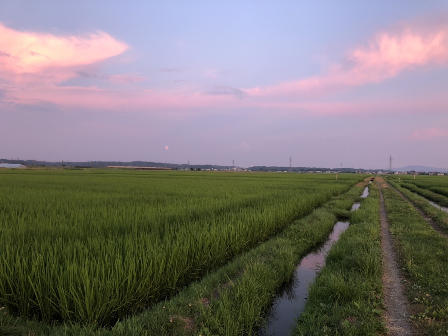 入社後一年が経ち、思うこと