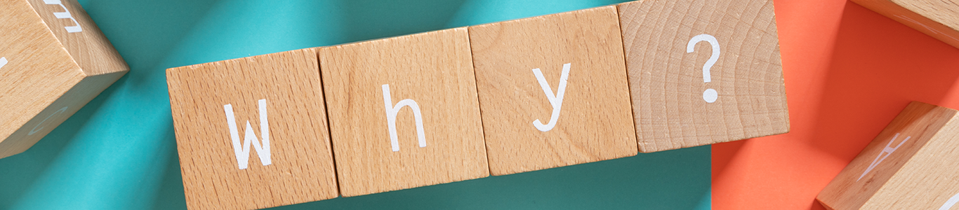 【先輩社員インタビュー】私たちはzerophyでこんな仕事をしています！！