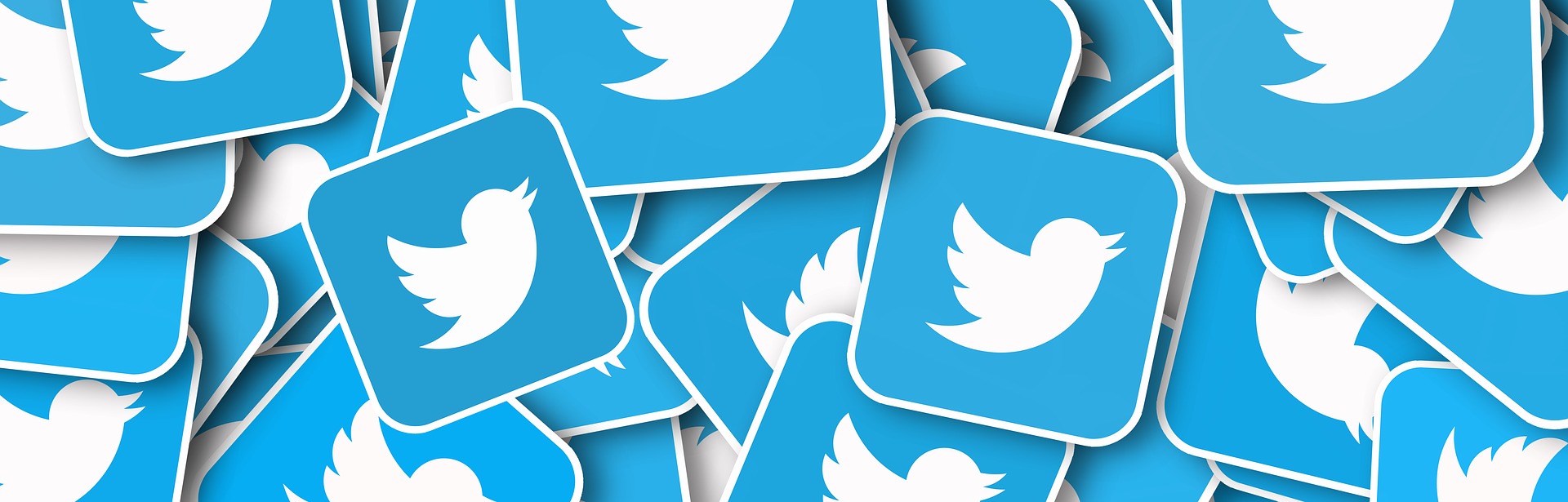 エンタメ×広告でデジタル広告を変えろ！Twitter IVSの魅力を徹底解説！