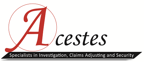 Acestes Pte Ltd