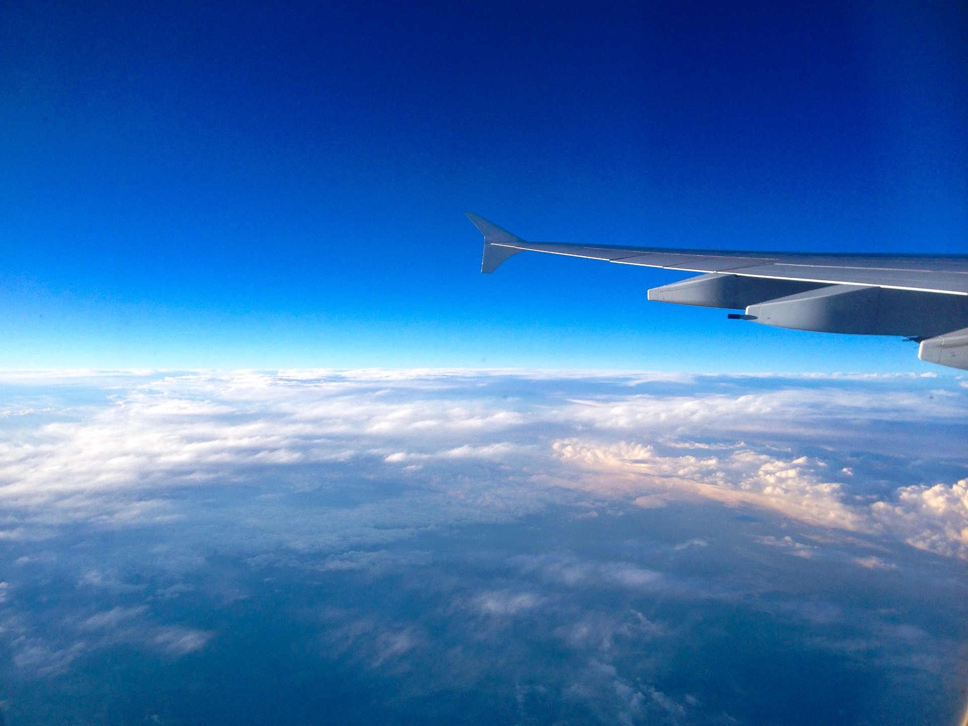 私、アメリカに行きます。でもLOCUSは辞めません！