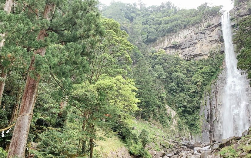 社員ブログ②　勝浦の旬