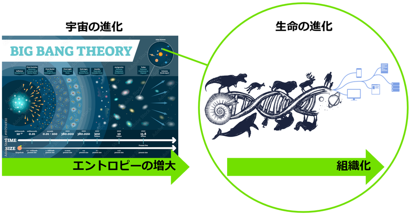 【創業秘話】スタートアップの起業ストーリー