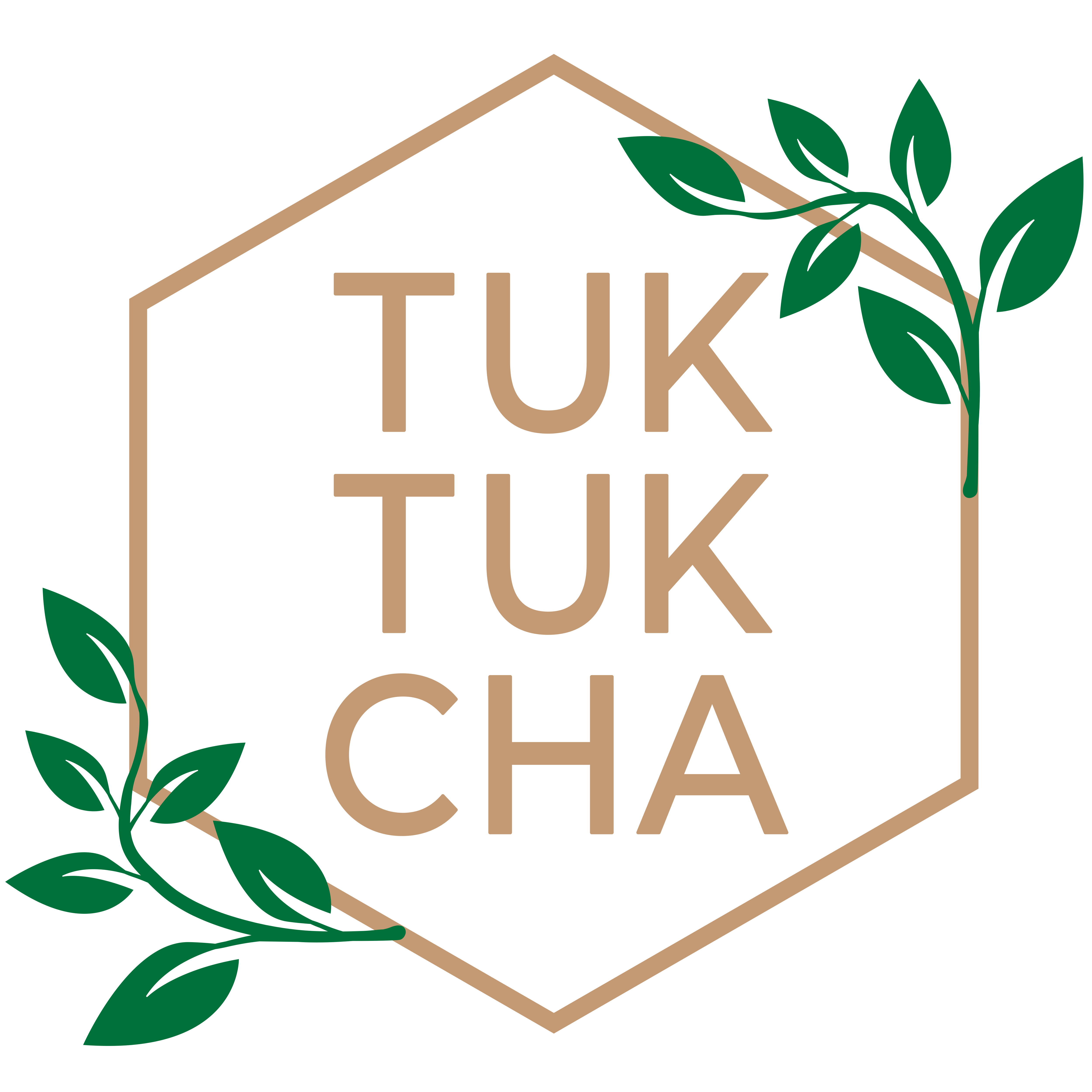 Tuk Tuk Cha (S) Pte Ltd