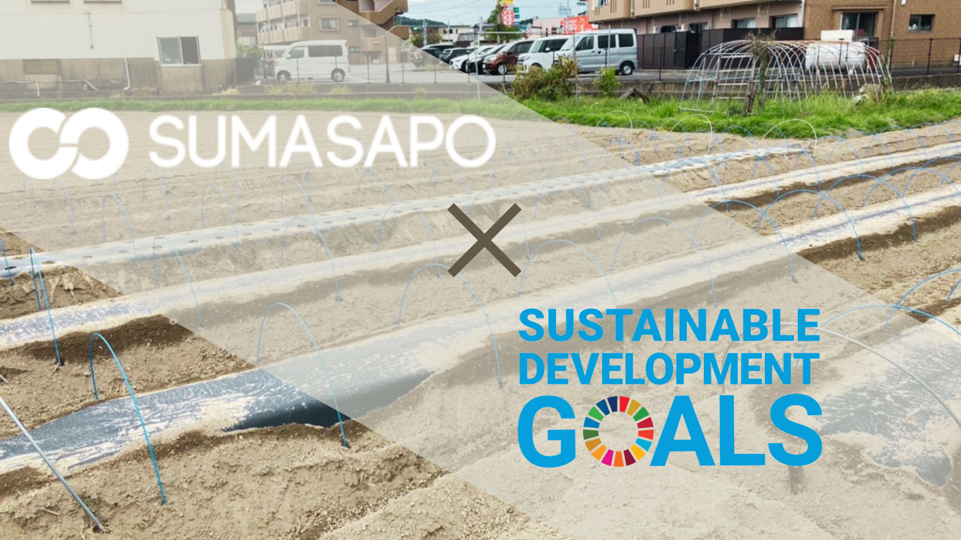 スマサポファーム スタートしました！