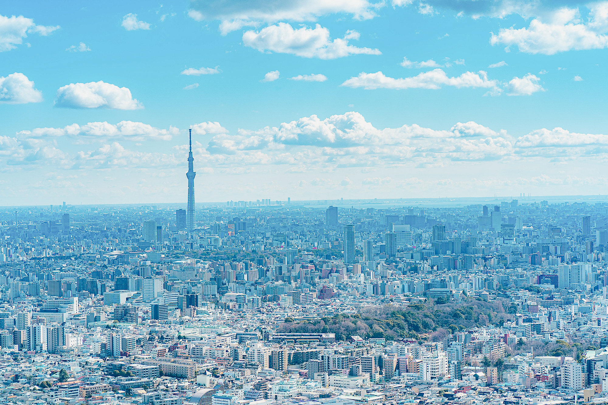 【社員コラム #1】フリーランスの私がクレディセゾンを選んだワケ