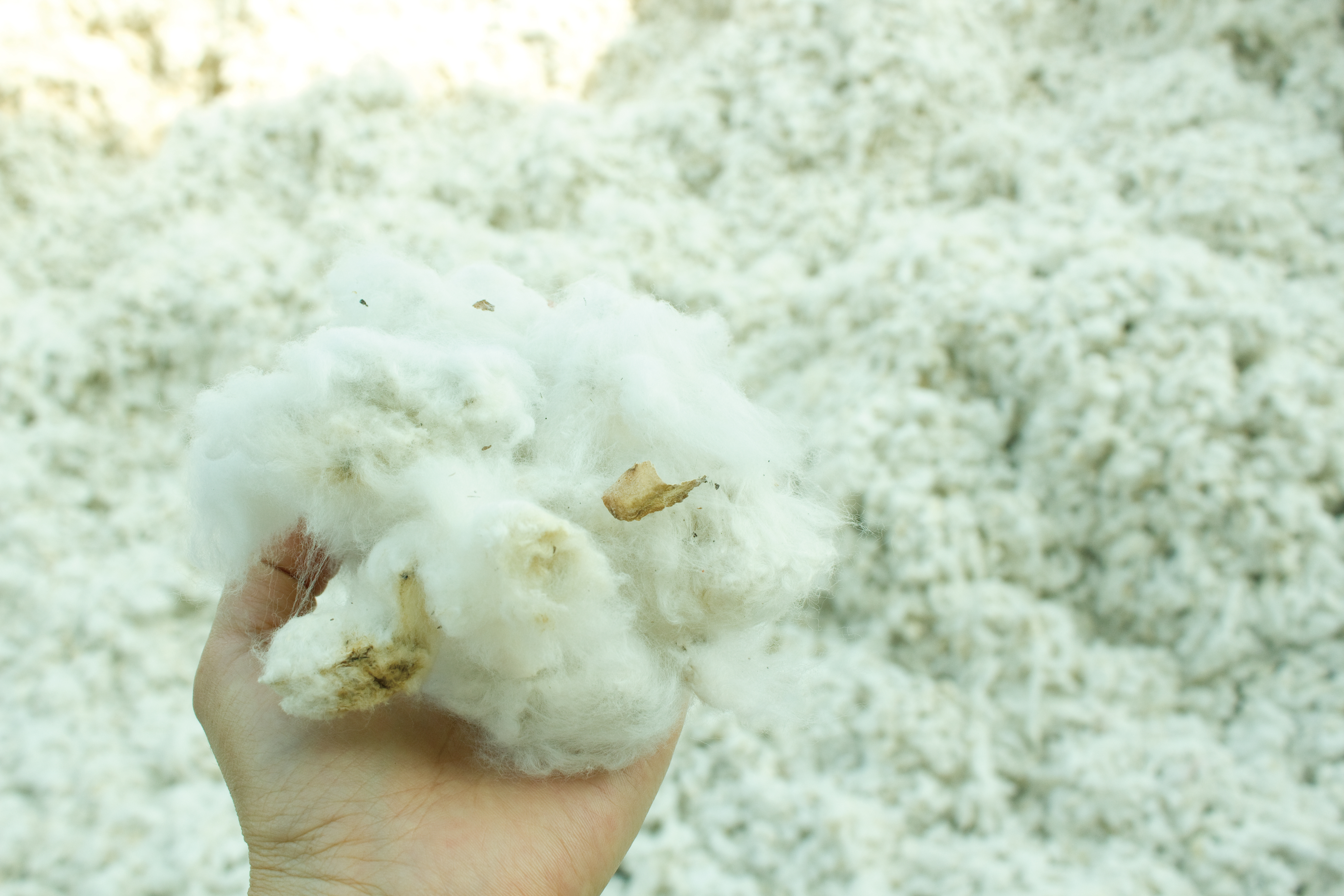 マアルのブランドコンセプト