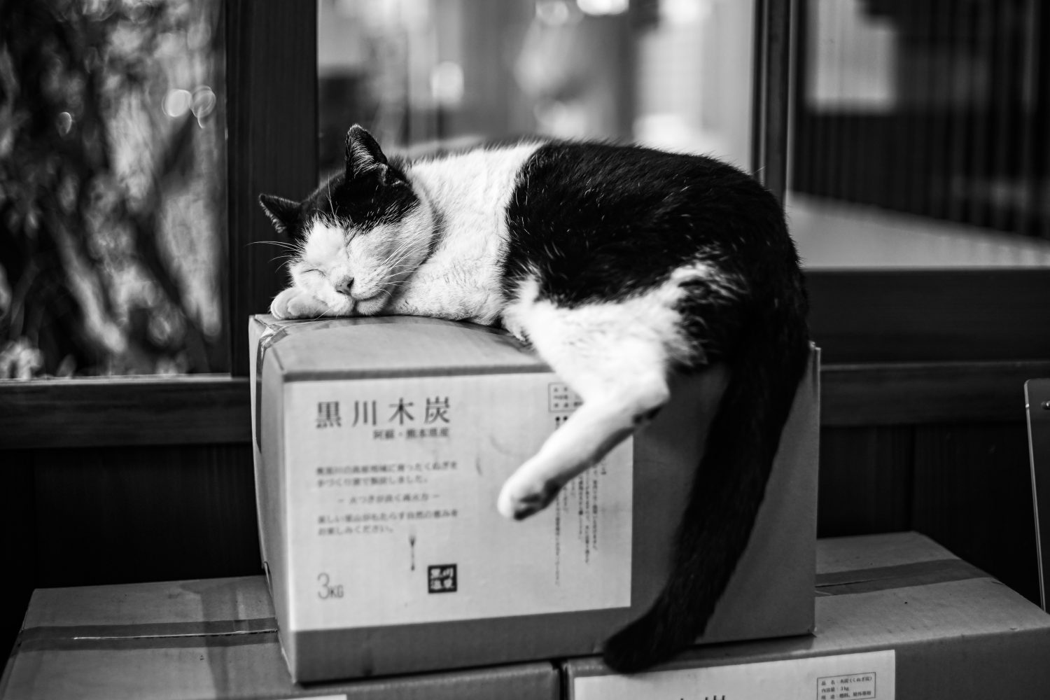 上質な里山｜阿蘇・南小国町の魅力を写真でご紹介ー「秋から冬」編