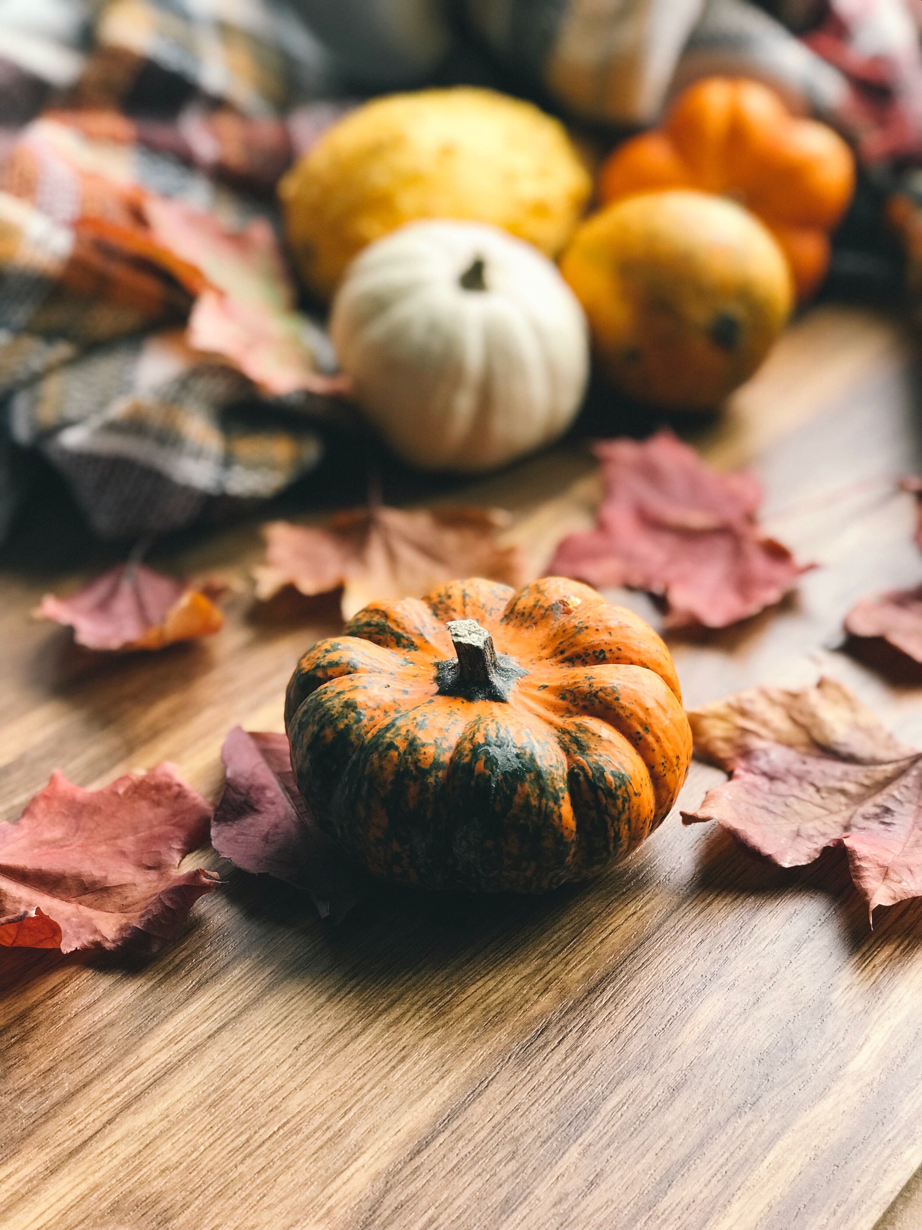 楽しいハロウィンのはずが・・・