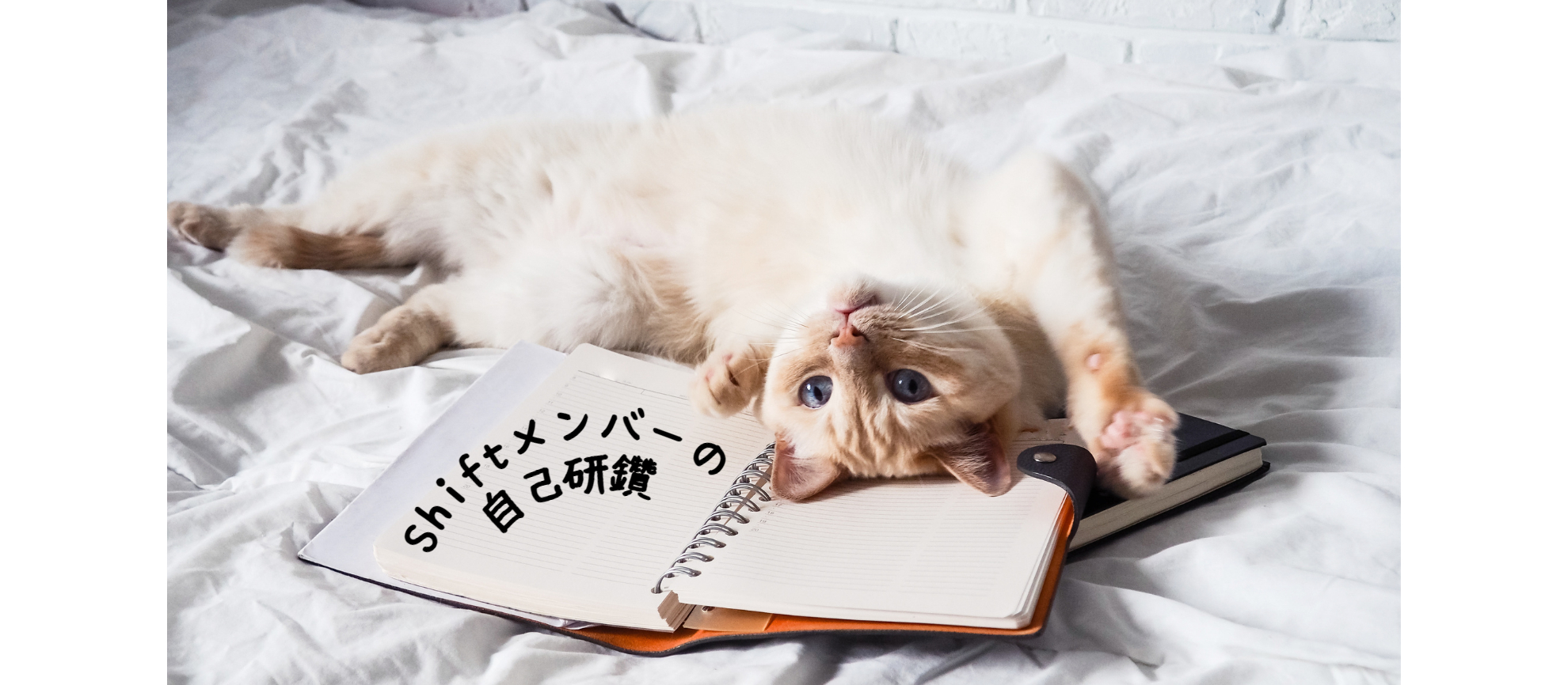 ～Shiftメンバーの自己研鑽～Webマーケ会社のメンバーが自分を磨く方法