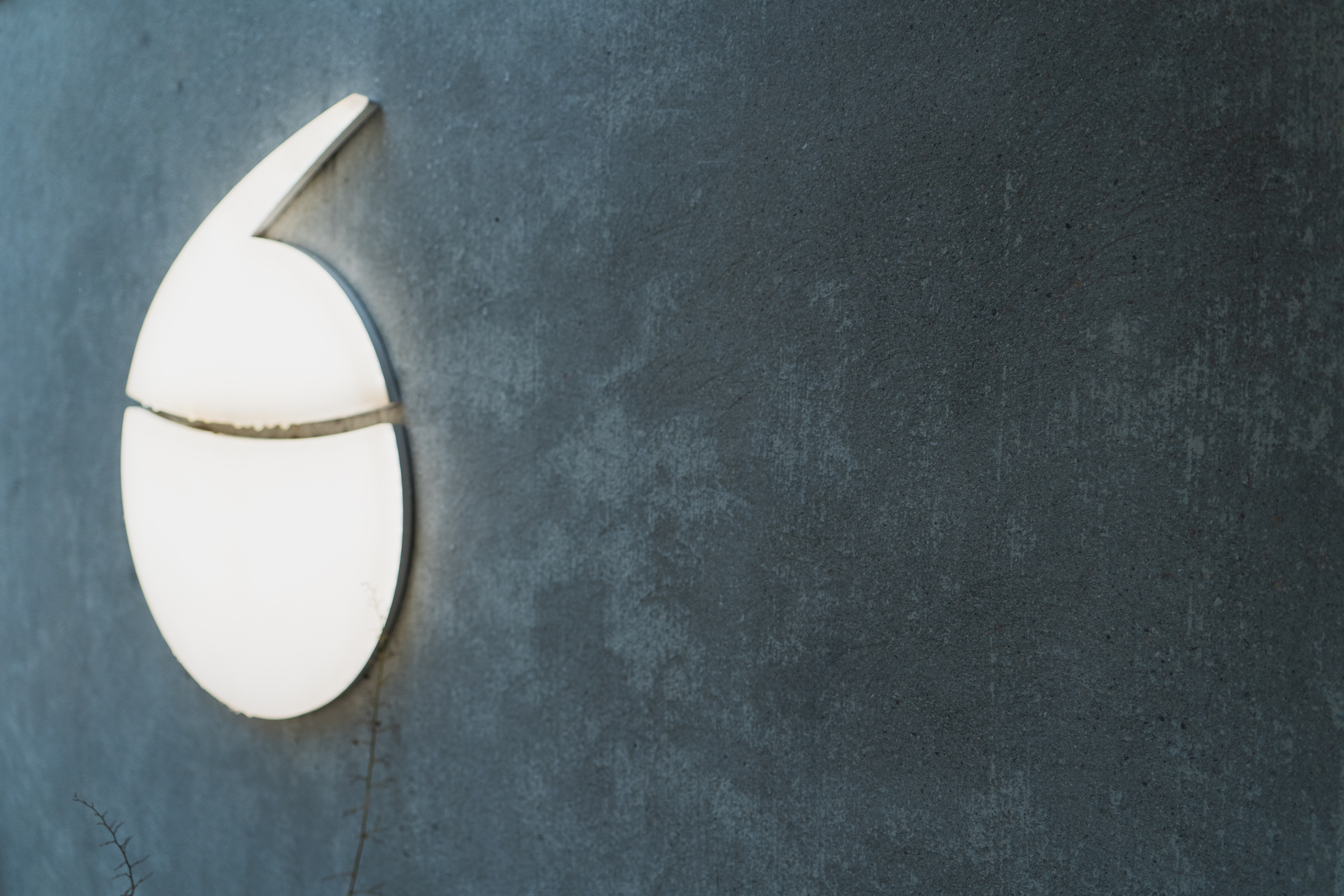 本当に優秀な人は、会社自身も正解や解法が分からないビジョンに燃える。TAMの展望と課題をさらけ出す