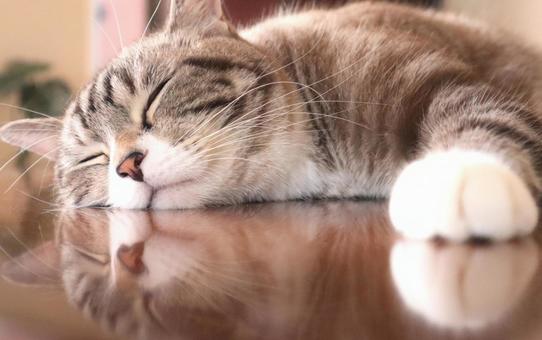 行方を知っている人がいたら、至急ご連絡ください。