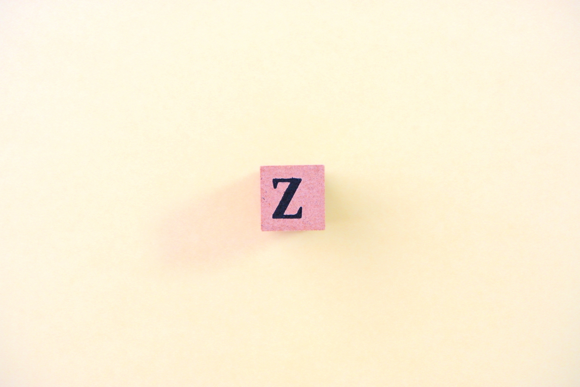 Z世代のリアル ”私たちはこう考える”