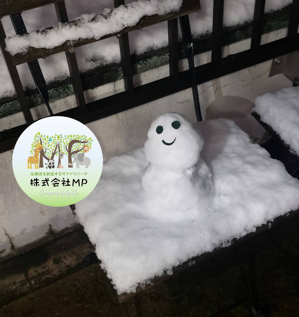 東京23区に雪が積もりました⛄
