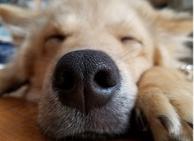 【社員インタビューvol.5.5】〜まだまだパワーアップしたい！〜