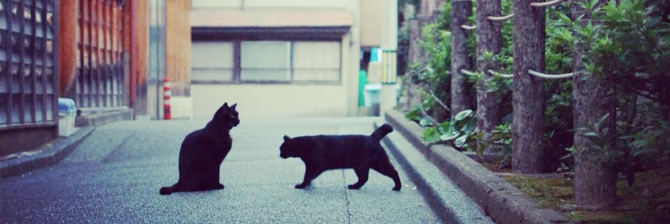 引き出しの多いデザイナーになりたいです